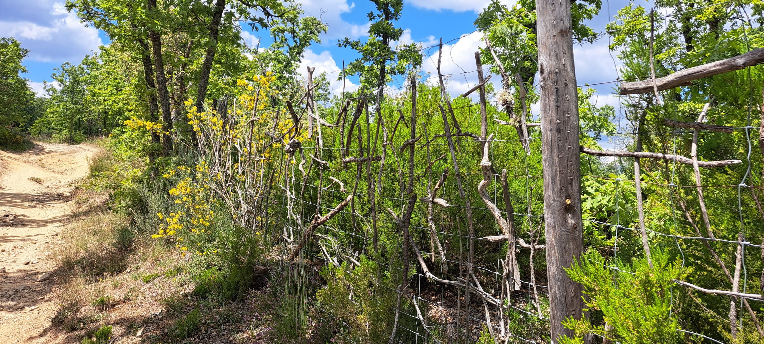 Tag 24 – San Justo de la Vega nach Rabanal del Camino