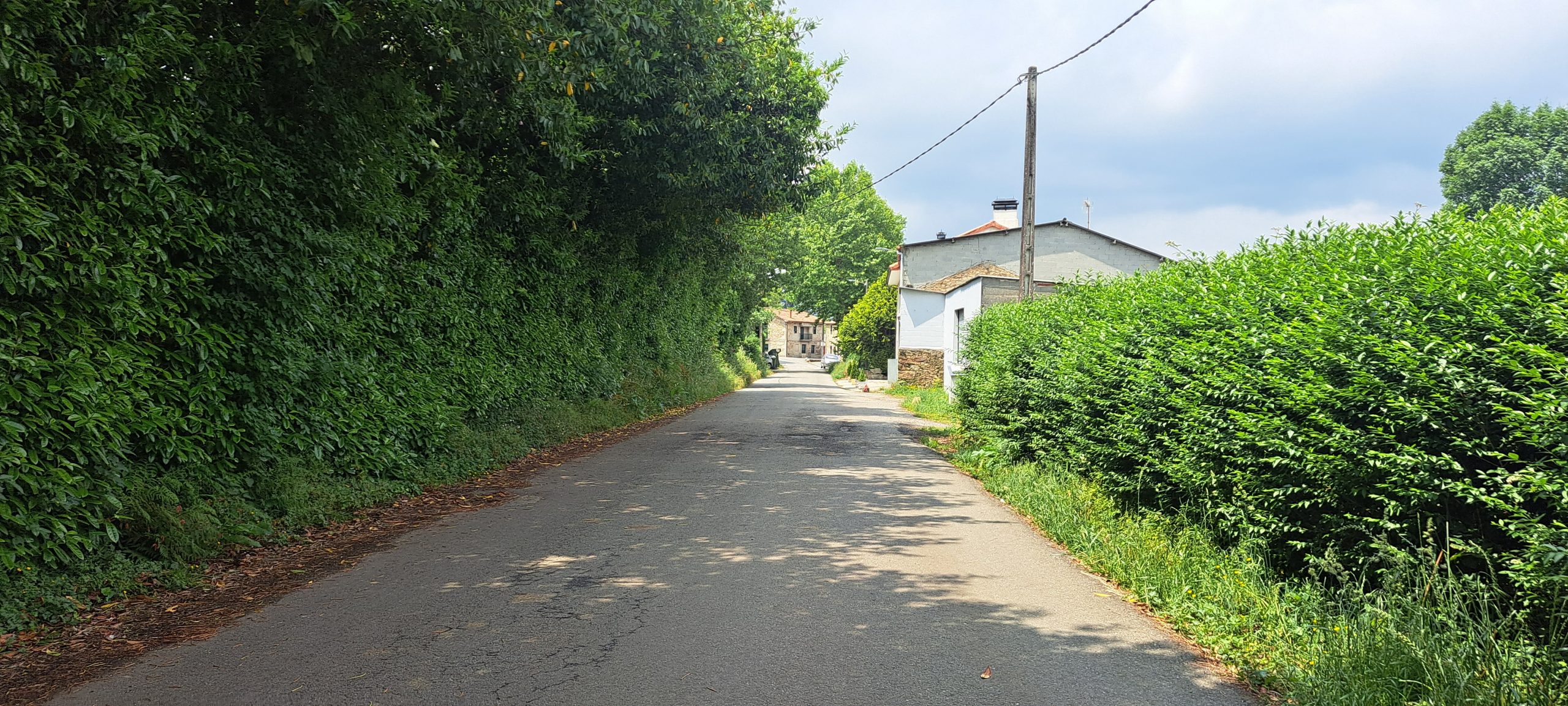 Tag 38 – Vilaseiro nach Ponte Olveira